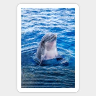 I Love Dolphins Sticker